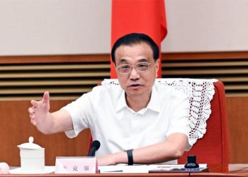 Chinese Premier  stresses consolidating  recovery, stabilizing economy