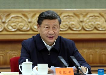 Xi stresses unity of Chinese at home,  broad to pool strength for rejuvenation