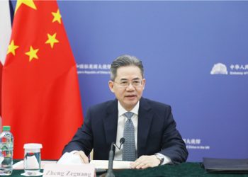 China determined to safeguard  its sovereignty, senior envoys say