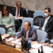 Chinese envoy urges  advancing two-state solution to address Palestinian issue