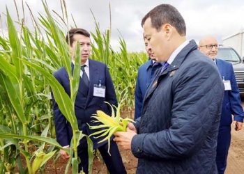 Kazakh PM meets  with heads of agricultural  enterprises in Pavlodar rgn