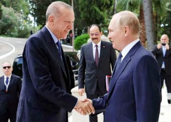 Putin wants Turkish cooperation in as many areas as possible