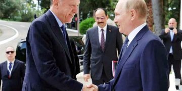 Putin wants Turkish cooperation in as many areas as possible