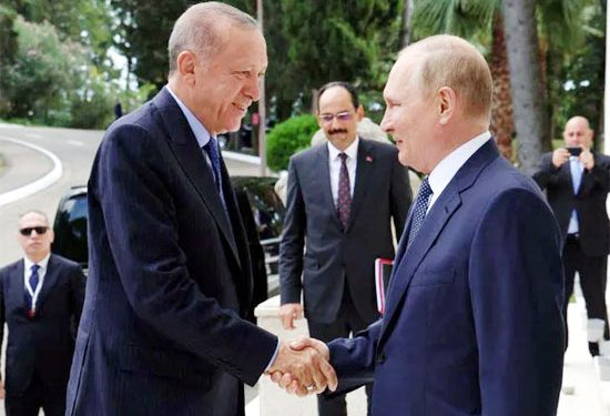 Putin wants Turkish cooperation in as many areas as possible