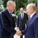 Putin wants Turkish cooperation in as many areas as possible