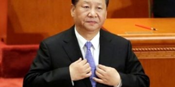 Xi calls on int’l community to build development partnership